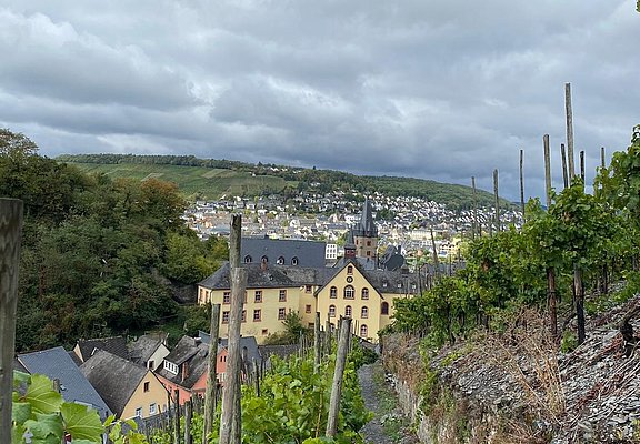 Oberhalb von Bernkastel-Kues