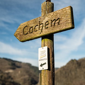 Cochem Moselsteig