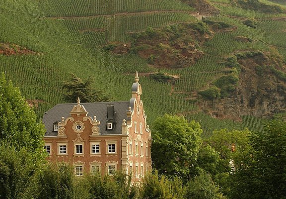 Weingut Mönchhof