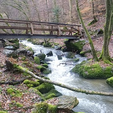 Steg über den Hinterbach