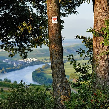 Ausblick entlang der Strecke