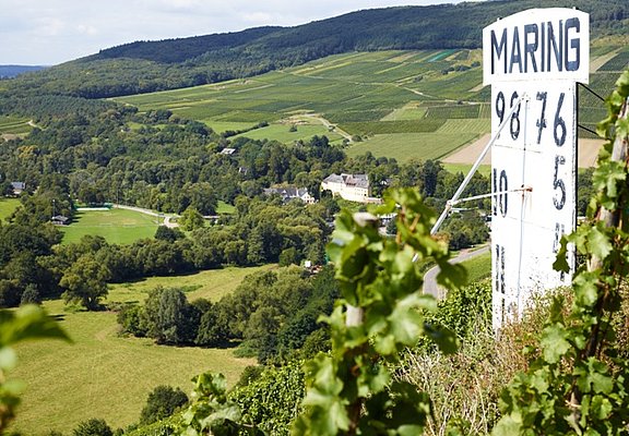 Maringer Sonnenuhr inmitten der Weinberge