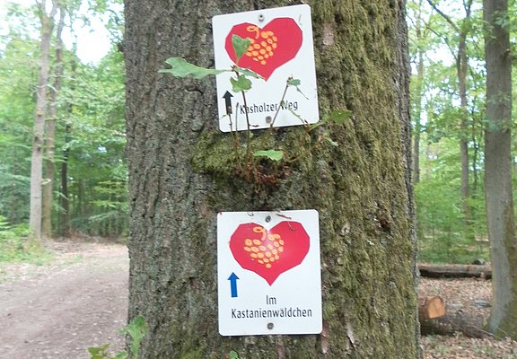 Wegbeschilderung entlang der Strecke
