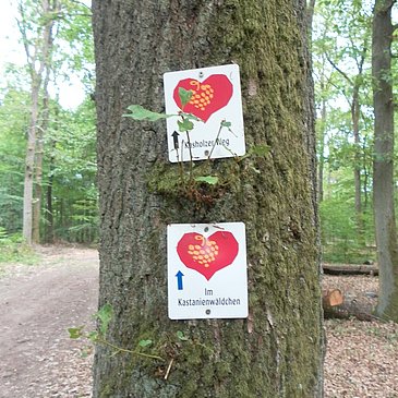 Wegbeschilderung entlang der Strecke