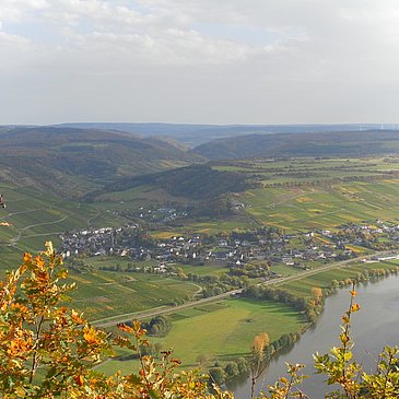 Neumagen-Dhron an der Mosel