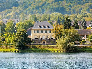 Landaus am Moselufer Wehlen