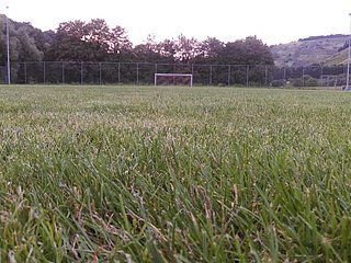 SV Neumagen-Dhron - Sportplatz mit Logo