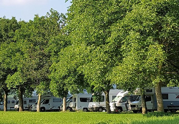 Stellplätze unter Bäumen