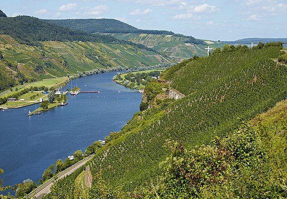 Ausblick auf Wintricher Hergott