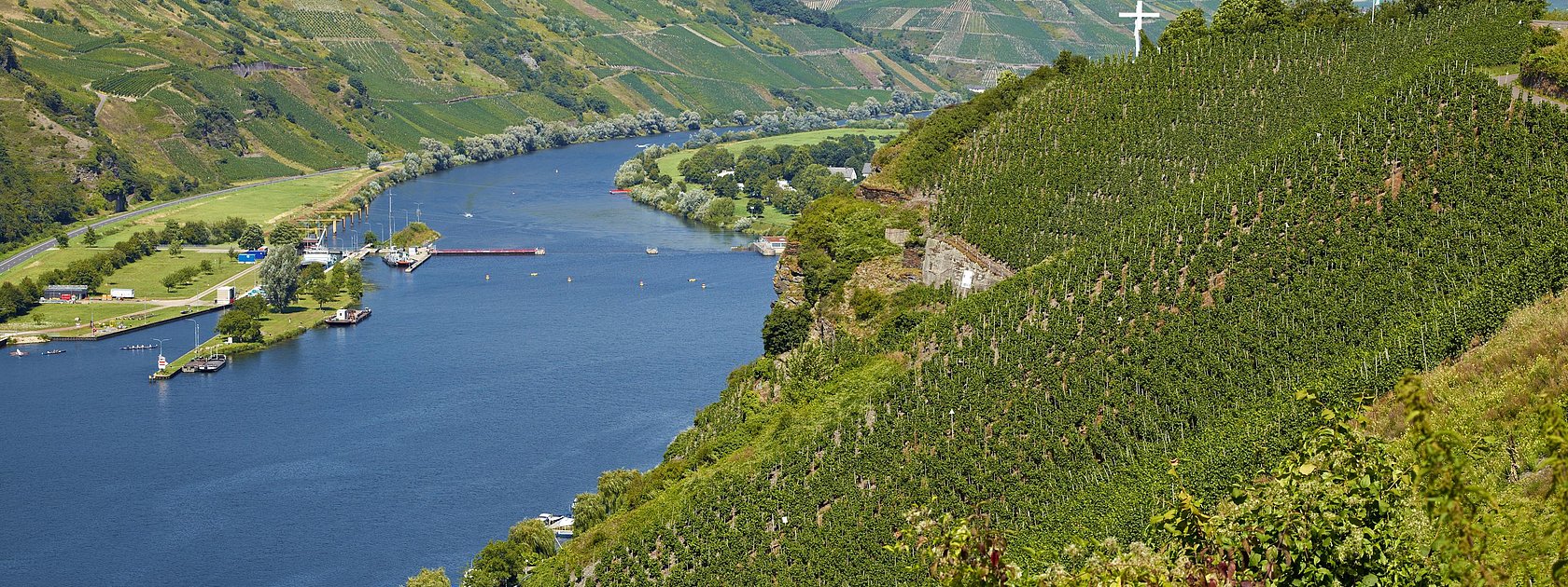 Ausblick auf Wintricher Hergott