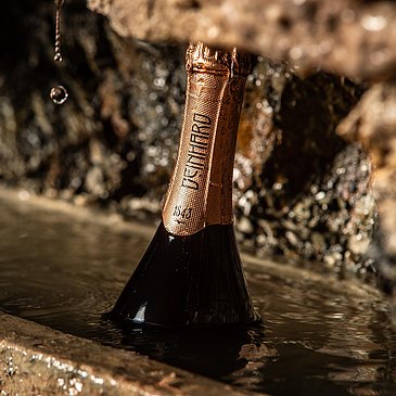 Sektflasche Deinhard´s