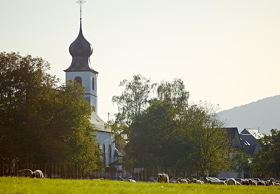 Nussbaumalee Brauneberg