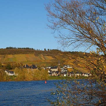 Entlang des Moselufers in Richtung Bernkastel-Kues