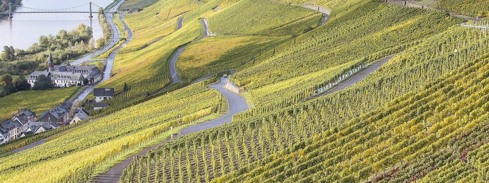 Graacher Weinberge