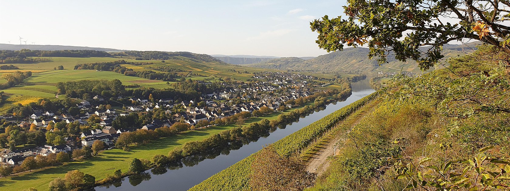 Brauneberg