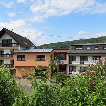 Landhaus Mosel / Berghof-  auch barrierefrei-
