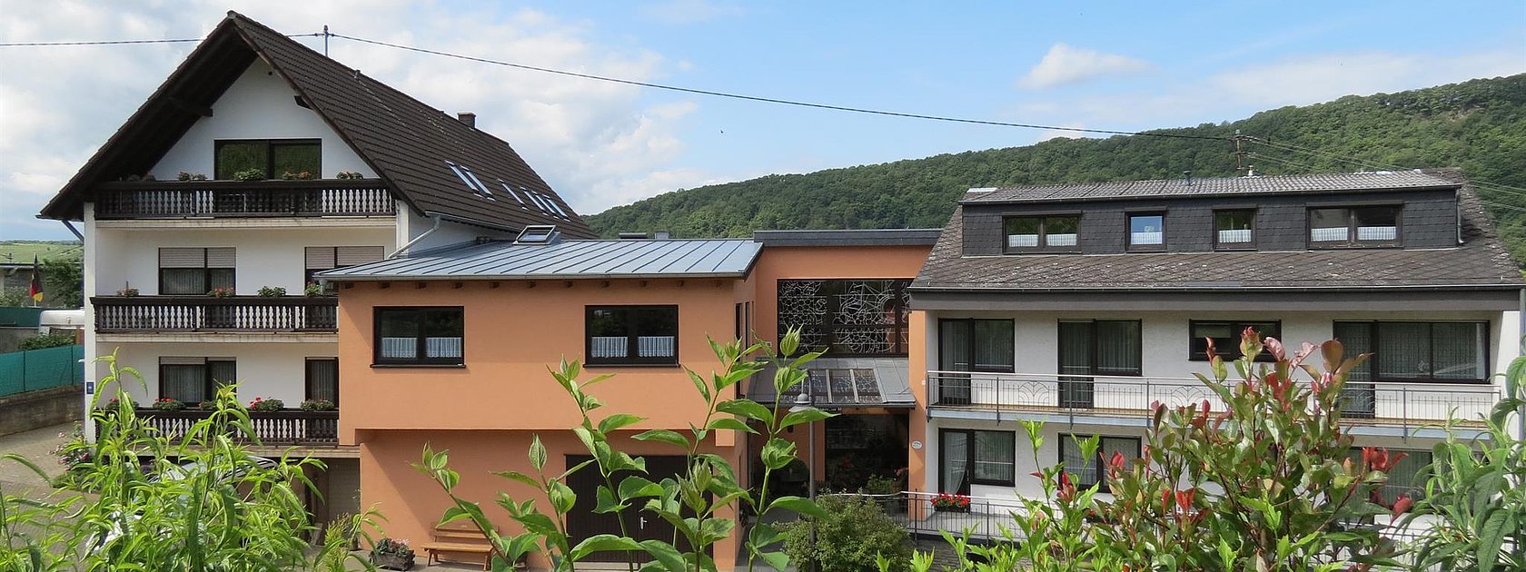 Landhaus Mosel / Berghof-  auch barrierefrei-