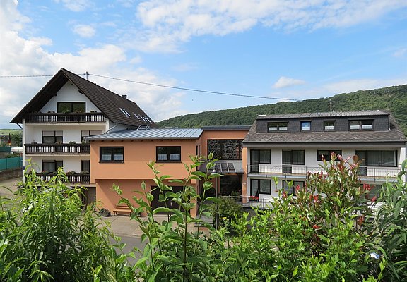 Landhaus Mosel / Berghof-  auch barrierefrei-