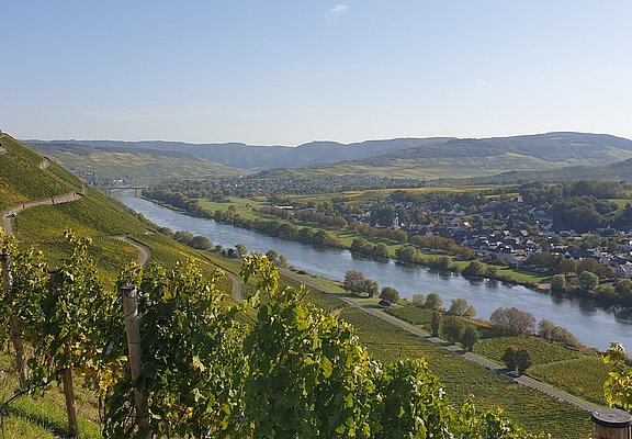 Wandern in Brauneberg