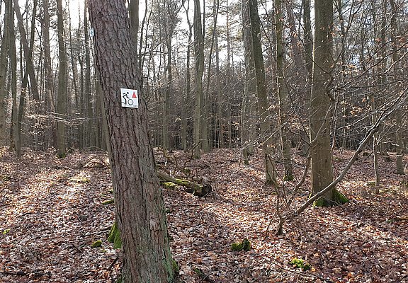 Weglogo entlang der Strecke