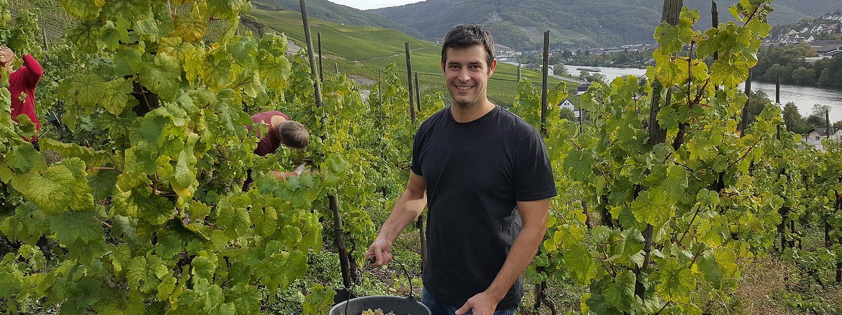 Winzer im Weinberg