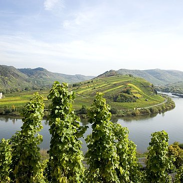 Moselschleife Bremmer Calmont