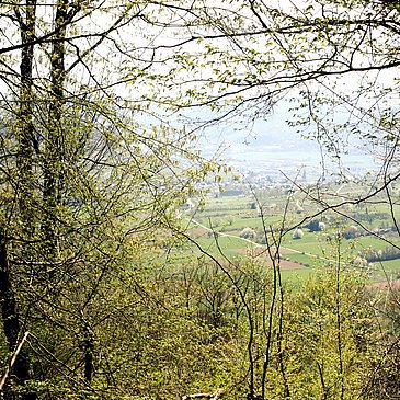 Aussicht vom Plateau