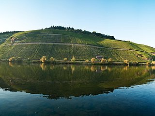 Mosel