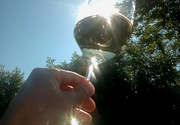 Wein