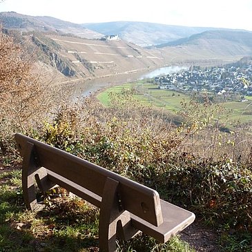 Aussicht zwischen Reiler Hals und dem Prinzenkopf, Blick auf Pünderich