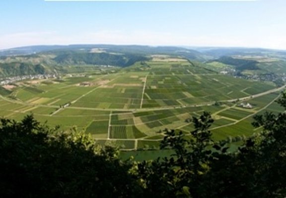 Panorama "Großer Moselblick"