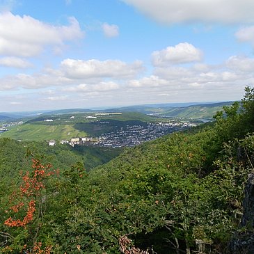 Ausblick vom Aussichtspunkt "Bresgenruh" am "Bernkasteler Bärensteig"