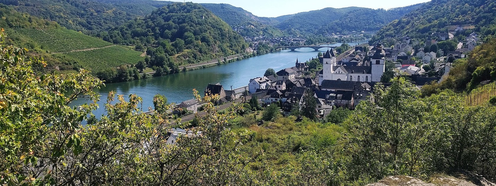 Karden mit St.-Castor-Kirche ('Mosel-Dom')