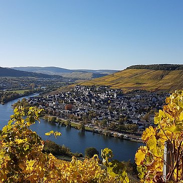 Aussicht von der Burgruine Landshut