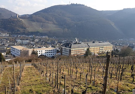 Cusanus- Krankenhaus