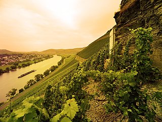 Weinlage Brauneberger Juffer