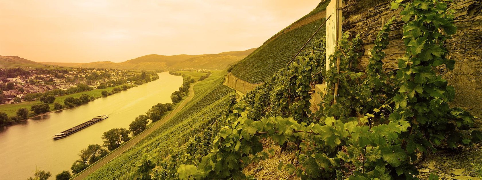 Weinlage Brauneberger Juffer