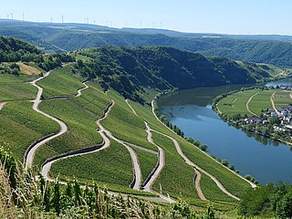 Ausblick
