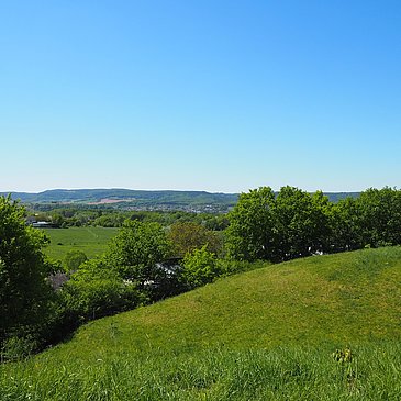 Weite Wiesen- unf Felderlandschaft