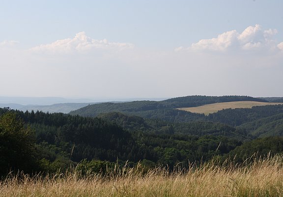 Wandern mit Blick bis an die Mosel