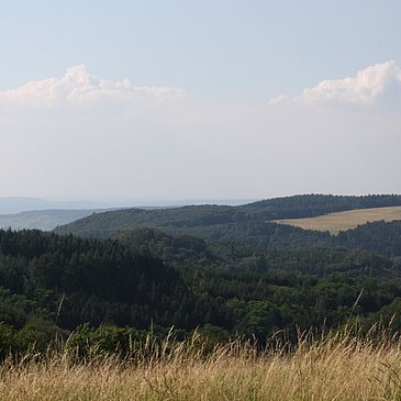 Wandern mit Blick bis an die Mosel