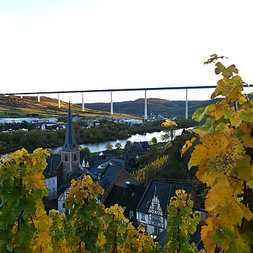 Ürzig im Herbst