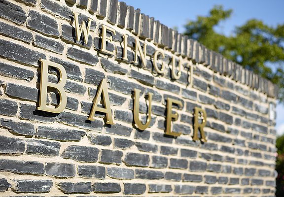 Schriftzug des Weinguts Bauer