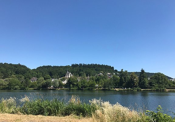 Blick auf Igel