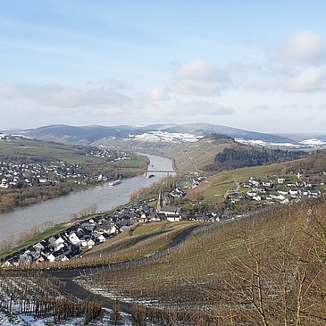 Aussicht ins Moseltal bei Lieser