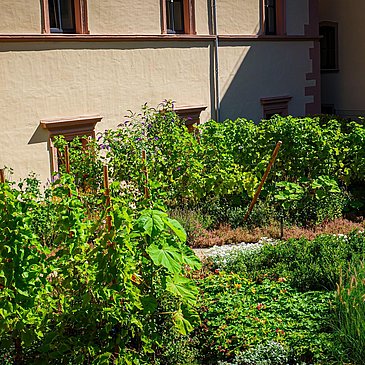 Stadtpark im Deinhards