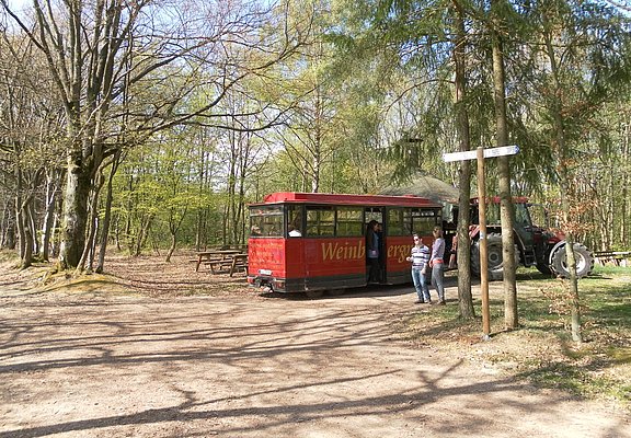 Winzerexpress beim "Großen Moselblick"