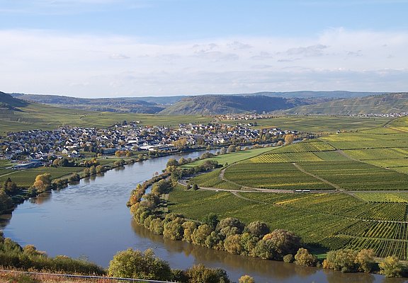 Blick auf Leiwen
