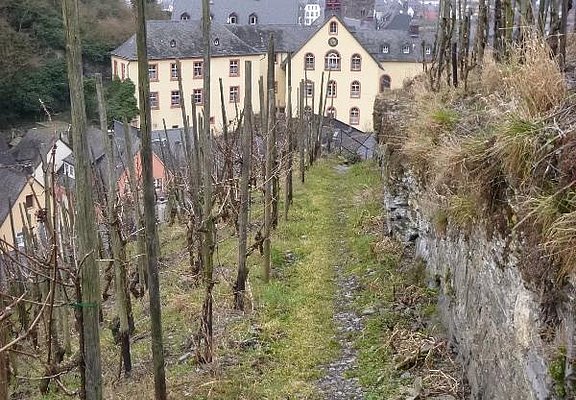 Weinbergspfad bei Bernkastel