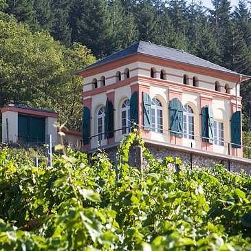 Elisenhäuschen in den Weinbergen